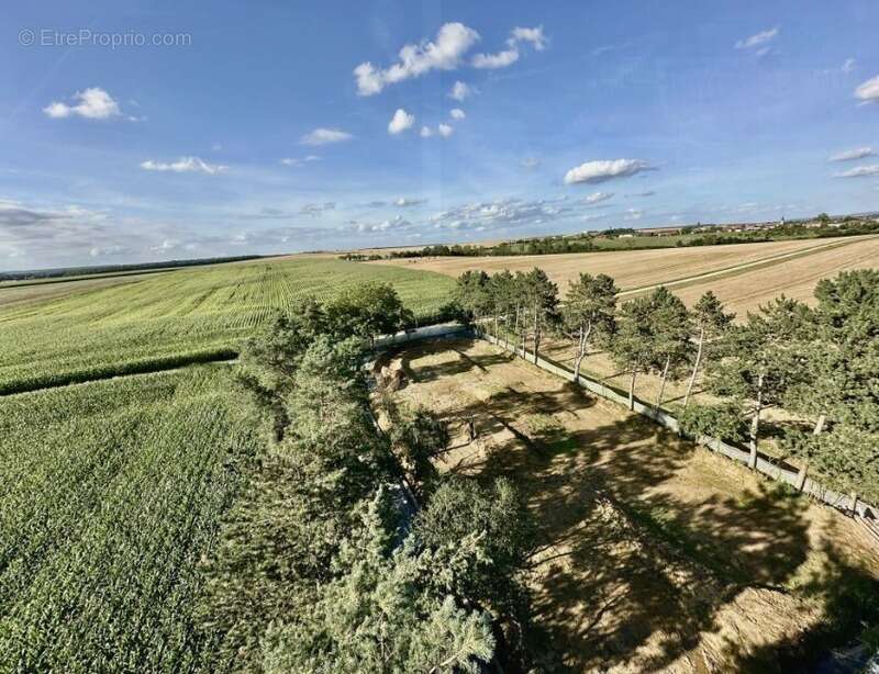 Propriété - photo 2