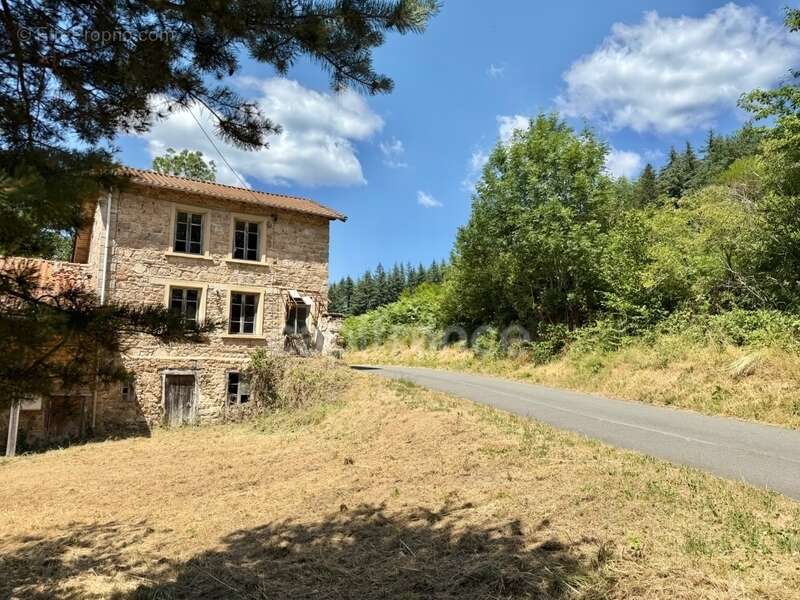 Maison en pierre mitoyenne, 142 m2, 235 m2 de terrain, entièrement à rénover, caves - photo 5