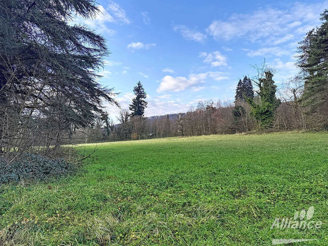 Appartement à BAVANS