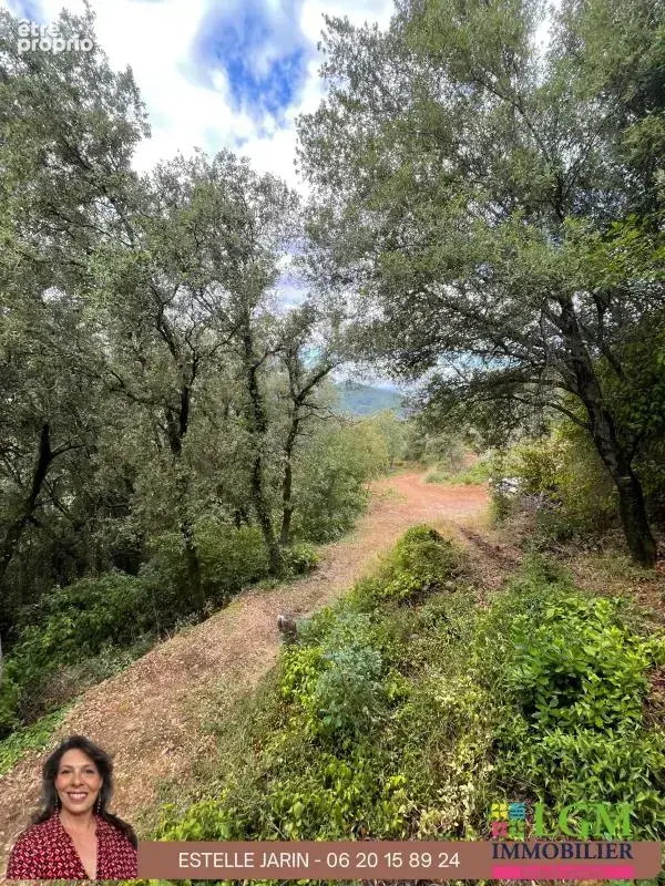 Mas 3 pièces à rénover - photo 23