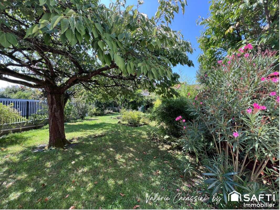 Photo 8 - Maison à SAVIGNY-SUR-ORGE