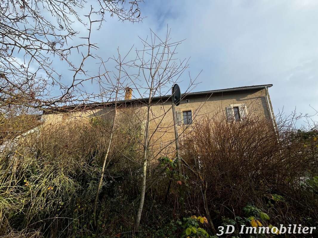 Maison 450 m² à Douvaine  - photo 6