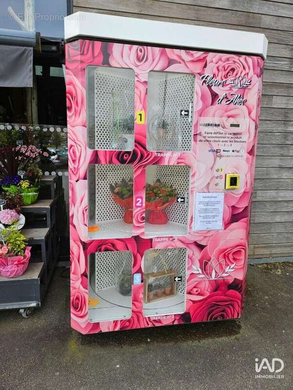 Photo 5 - Commerce à CARHAIX-PLOUGUER