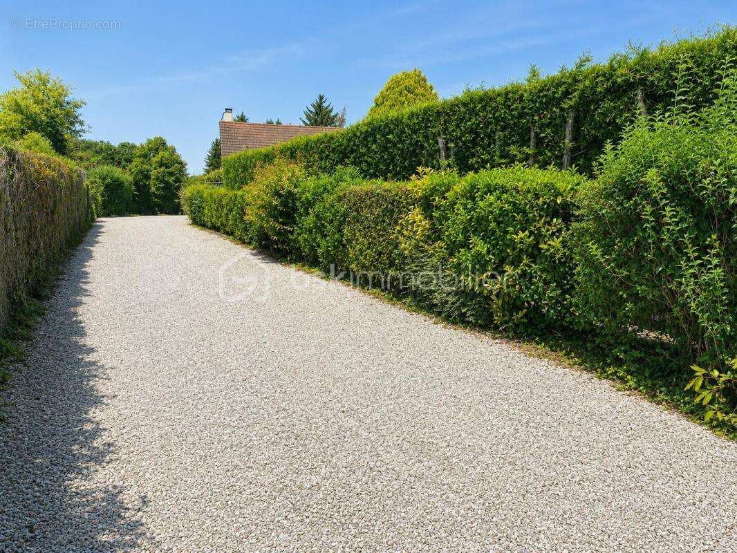  Maison familiale de plain-pied avec sous-sol complet  - photo 12