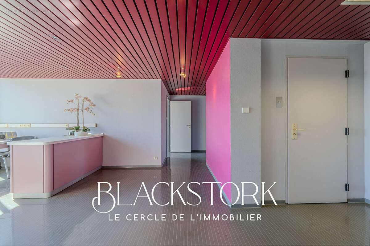 Local professionnel - strasbourg roberstau - vue degagee - photo 4