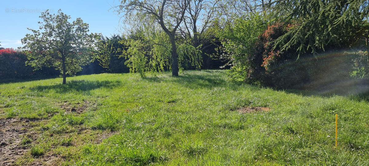 Terrain à VILLENEUVE-LA-COMPTAL