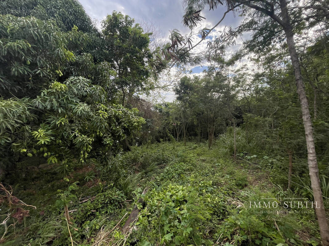 Terrain à GOURBEYRE