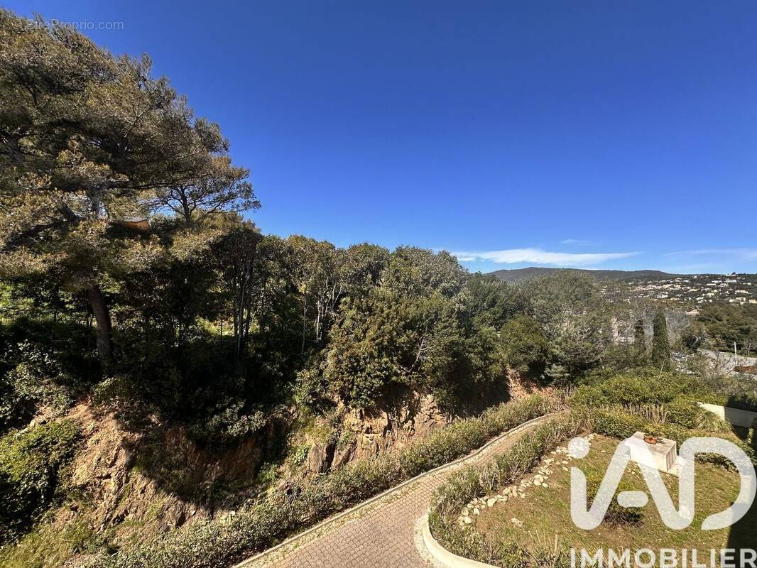 Photo 1 - Appartement à CAVALAIRE-SUR-MER