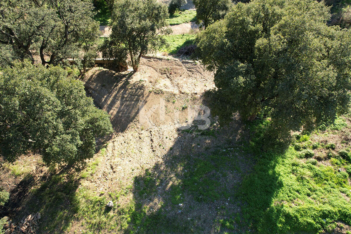 Terrain Constructible-1550 m2-Poggio D Oletta (Nebbio)vue dégagée - photo 3