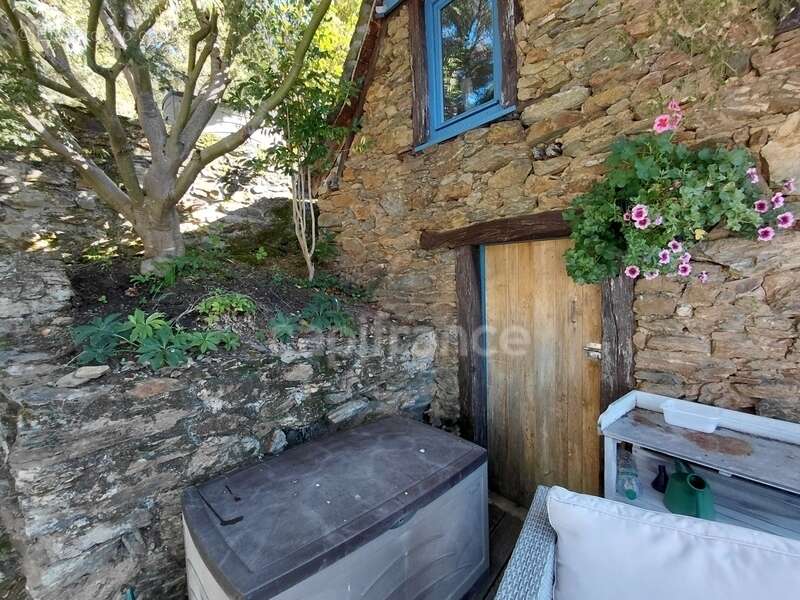 Maison à VIEILLEVIE