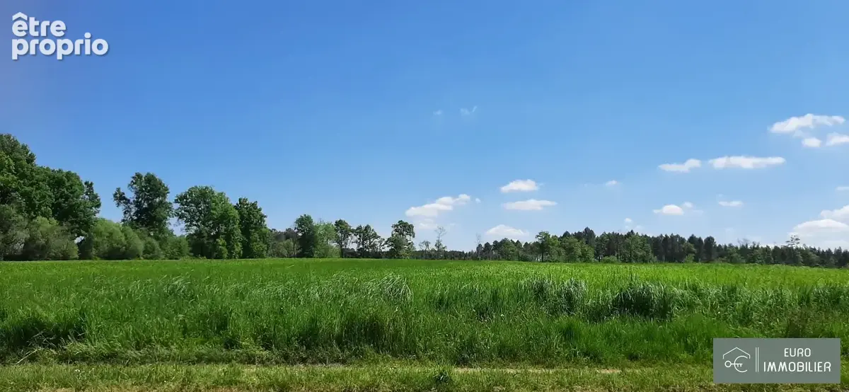 Maison 6 pièces 120 m² à vendre à Bazas (33430) - photo 2