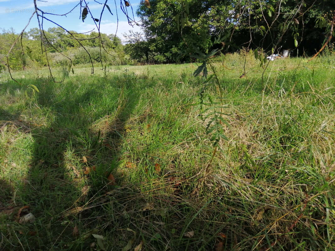 Terrain à MALAUZAT