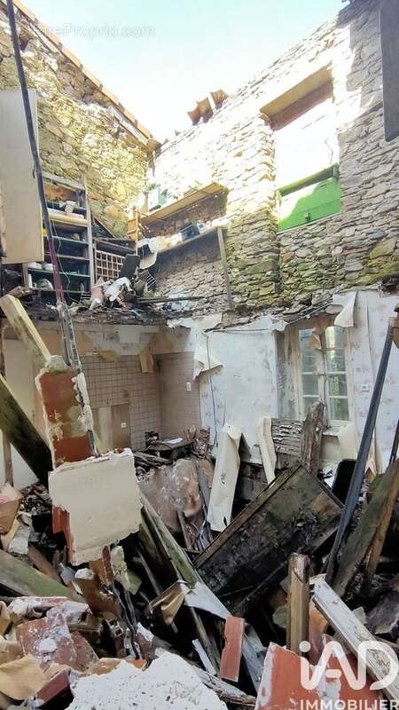 Photo 5 - Maison à LABASTIDE-ROUAIROUX
