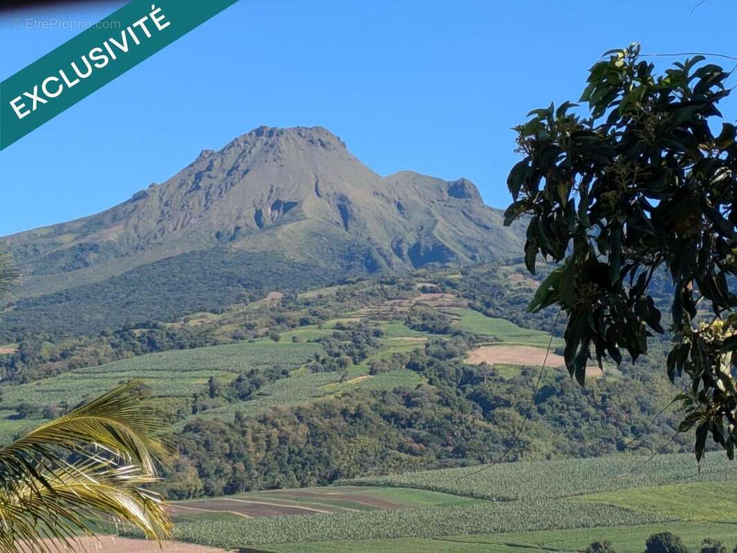 Photo 4 - Appartement à SAINT-PIERRE