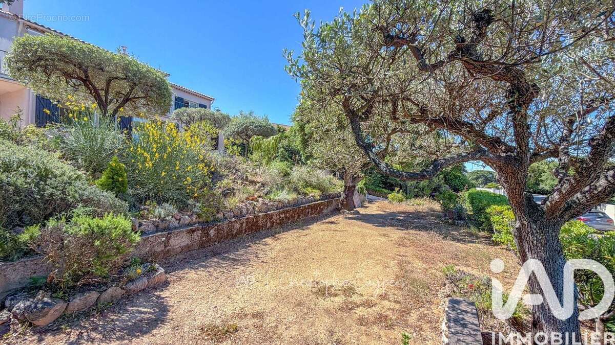 Photo 3 - Maison à SAINTE-MAXIME
