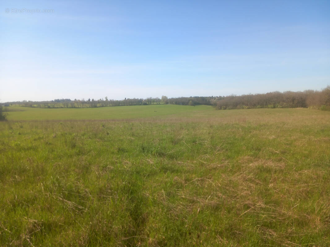 Terrain à MAUROUX
