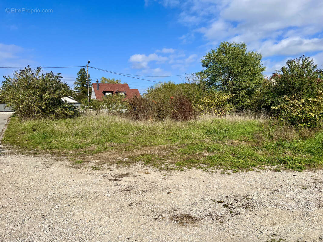 Terrain à SAINT-VIT