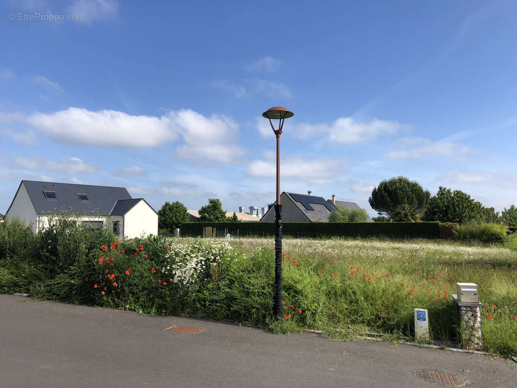 Terrain à AZAY-SUR-CHER