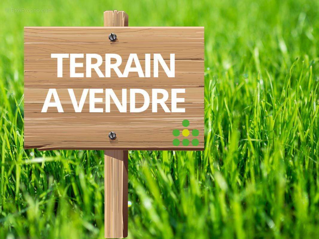 Terrain à LA MOTHE-ACHARD