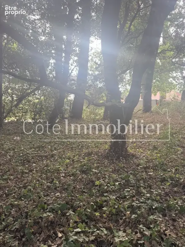 Terrain Saint Brevin Les Pins 860 m2 - photo 1