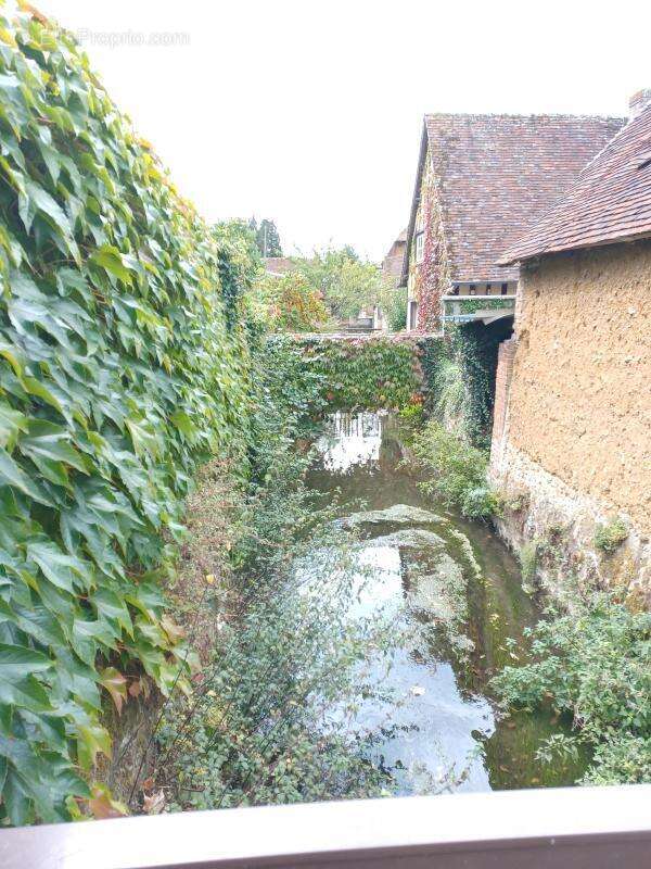 Maison de ville de caractère avec dépendances et jardin traversé par un bras de rivière - LA F - photo 2