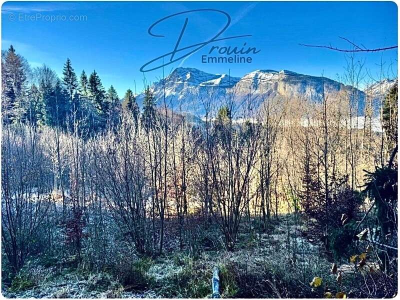 Terrain à ARACHES-LA-FRASSE
