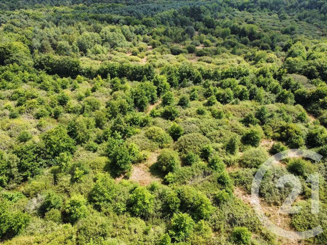 Terrain à LA FERTE-SAINT-AUBIN