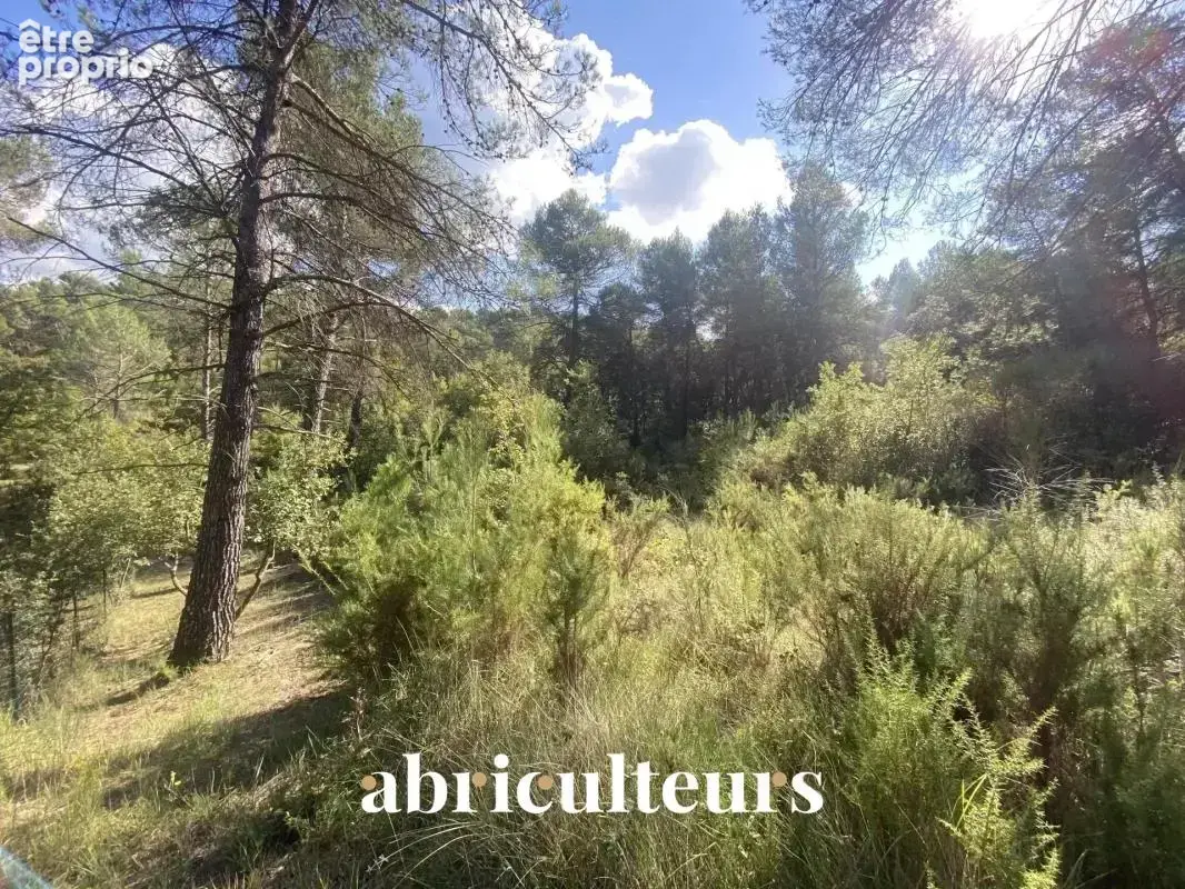 Terrain constructible de 2 653 m² - La-Roque-d'Anthéron (13640) - photo 2