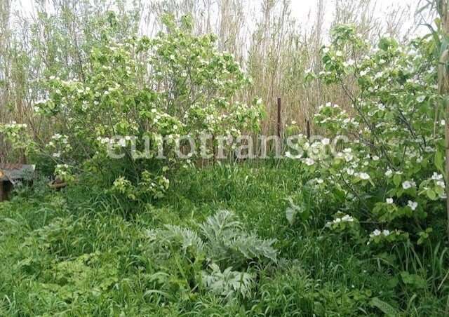 Terrain à NEZIGNAN-L&#039;EVEQUE