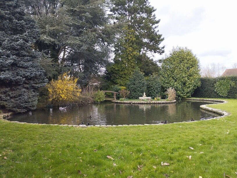 Photo 5 - Maison à GRANDVILLIERS