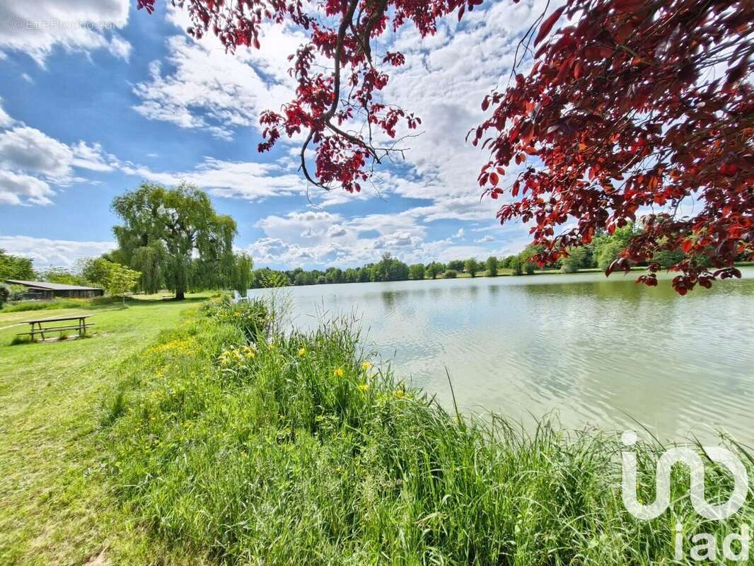 Photo 7 - Maison à COULLONS