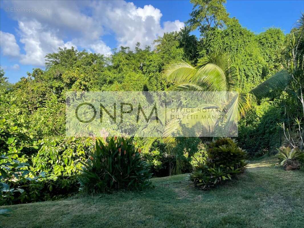 Maison à LA TRINITE