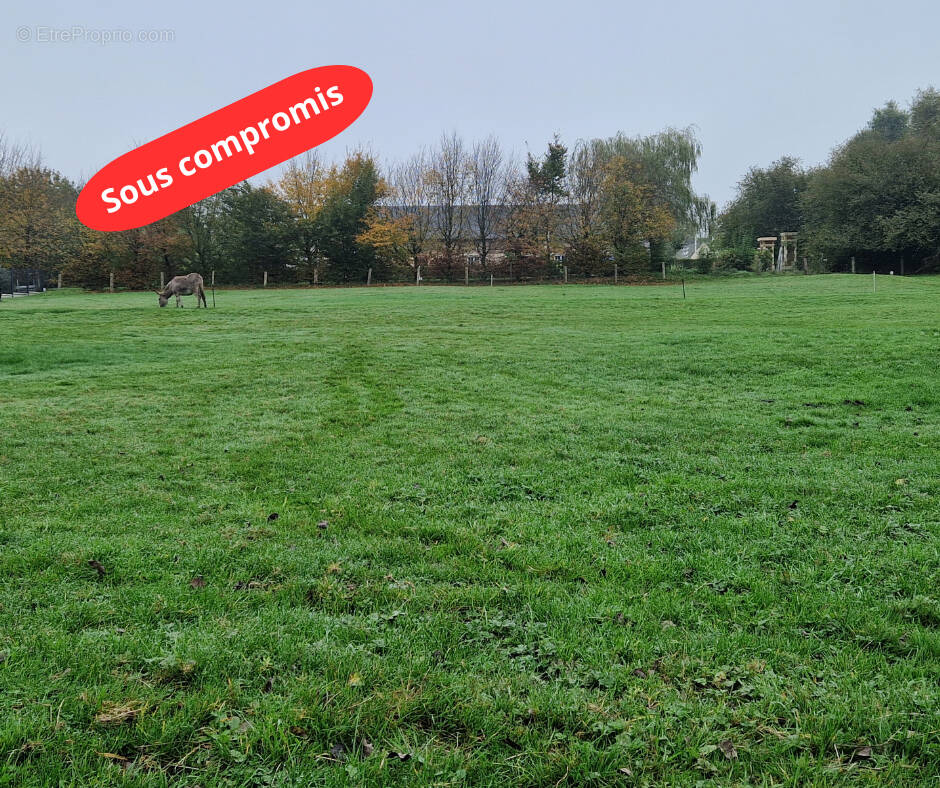 Terrain à SAINT-ROMAIN-DE-COLBOSC