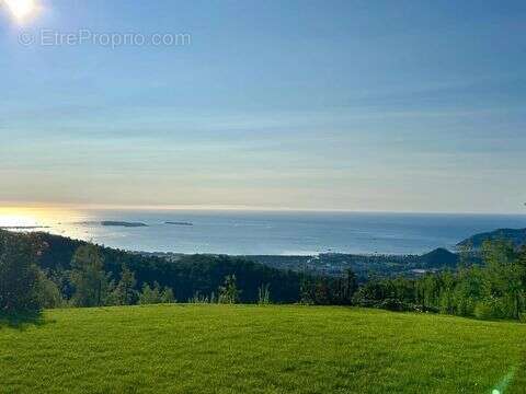 Maison à MANDELIEU-LA-NAPOULE