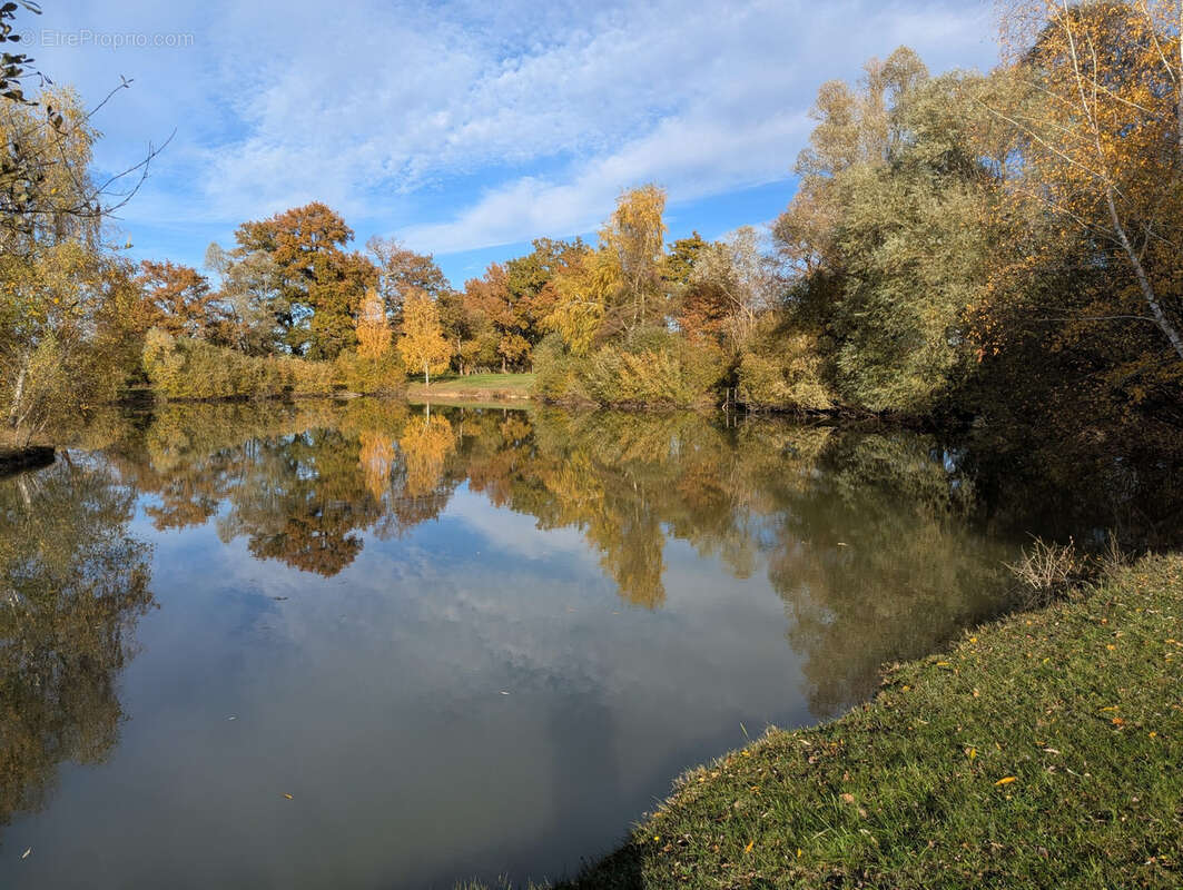 Terrain à LE CHATELET