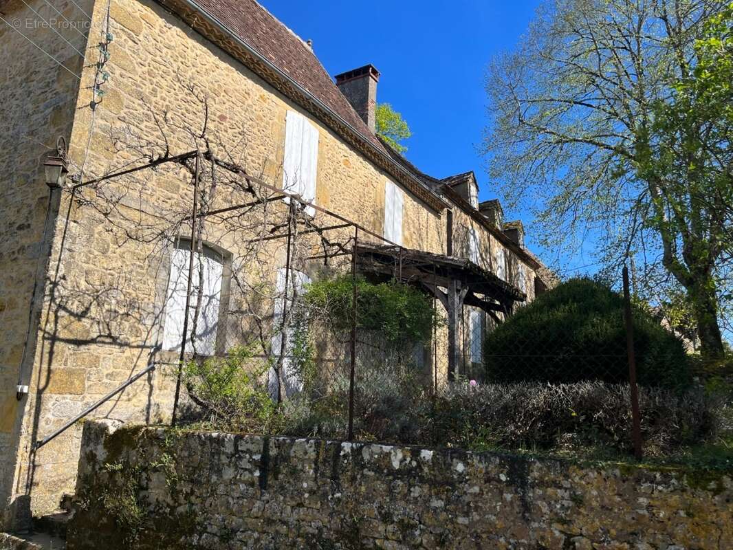 IMG_8388 2.jpeg - Maison à SAINT-AVIT-SENIEUR