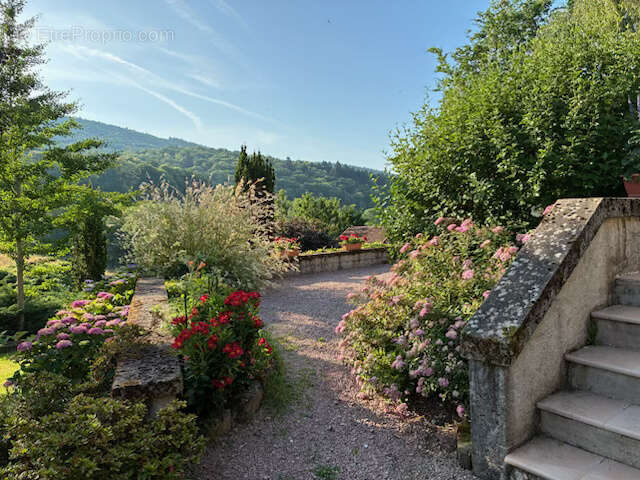 Maison à BROYE