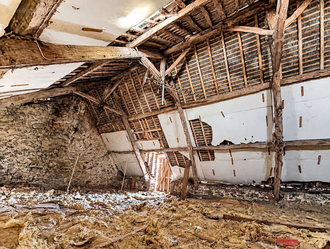 Maison à vendre Mont Dol, 5 chambres, avec dépendances/hangars, sur 9864m² de terrain. - photo 11