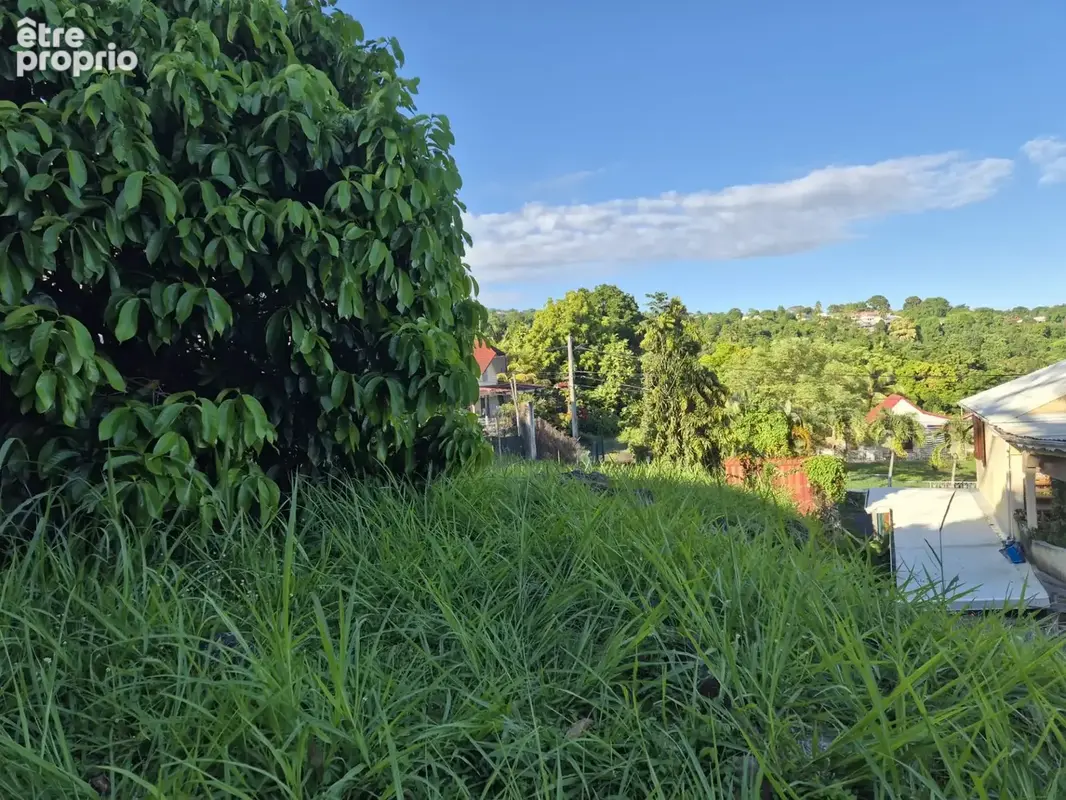Pépites du mois. Deux Appartements plus terrain 800 m², vue panoramique vers les Saintes, à vendre 3 pièces TROIS RIVIERES (971) - photo 5