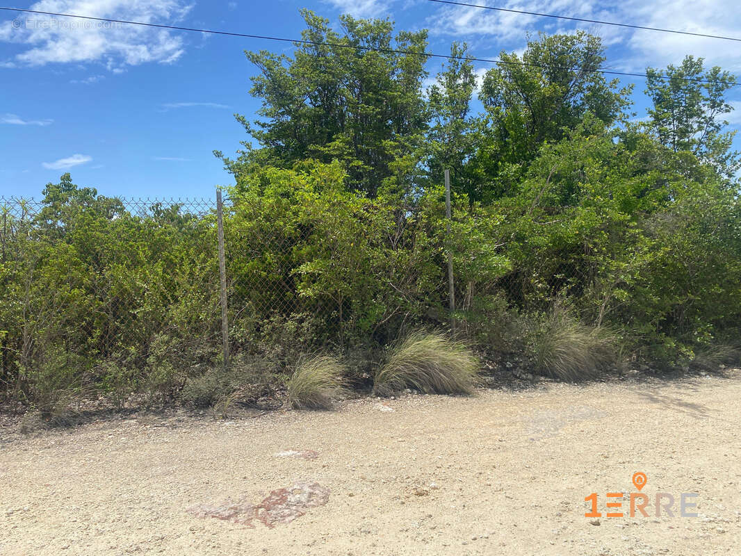 Terrain à SAINT-MARTIN