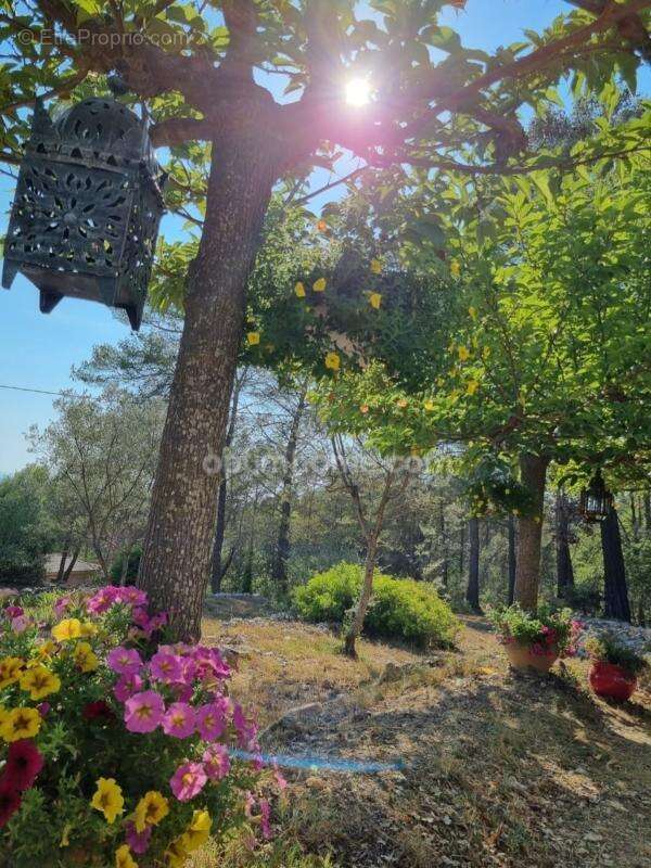 Villa provençale sur plus de 7 000 m² de terrain - photo 23
