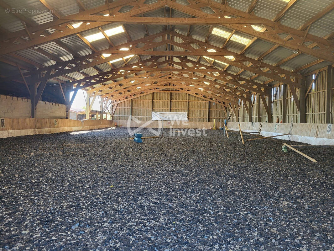 Manège 40 x 20 m - Commerce à MARLES-EN-BRIE