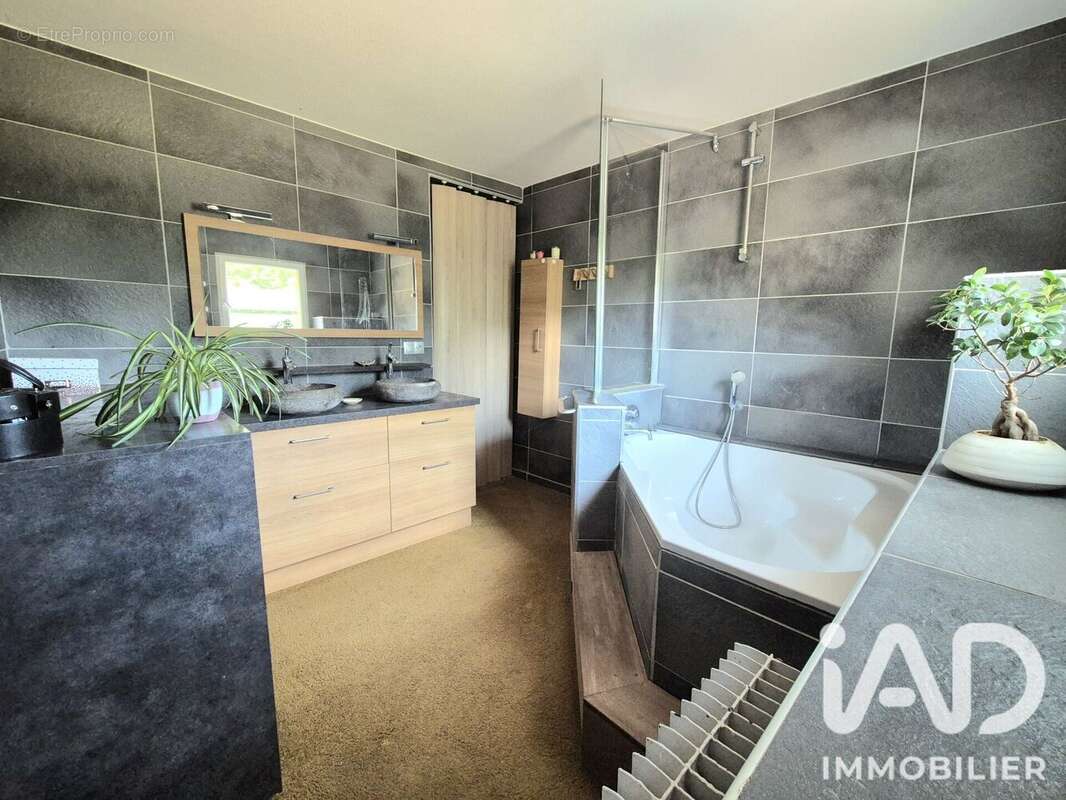 Maison 208 m² à Grezolles  - photo 6