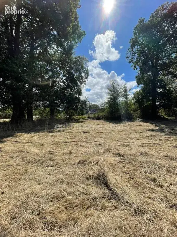 Terrain constructible 1 498 m² au calme — Libre de constructeur (Ploërmel) - photo 4