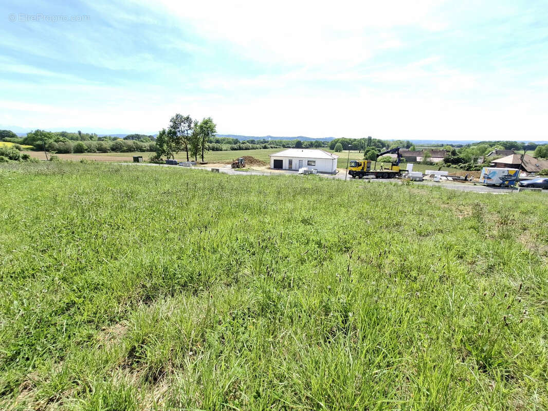 Terrain à LABASTIDE-MONREJEAU