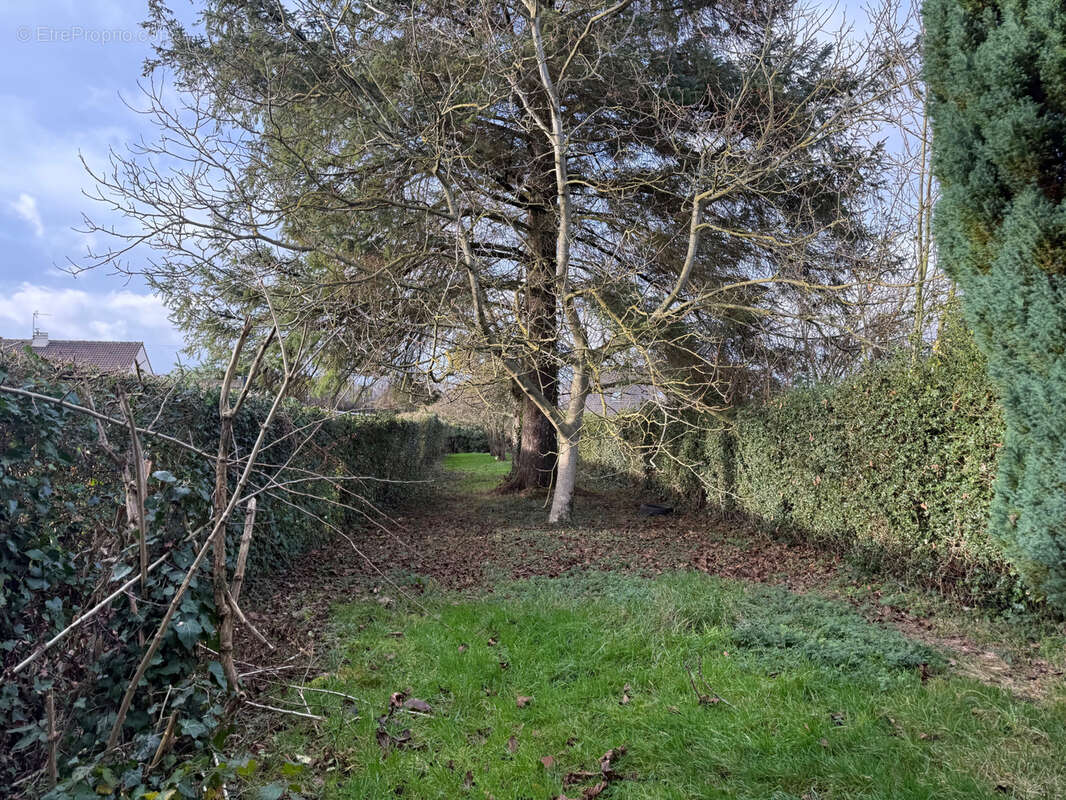 Maison à BEAUCAMPS-LE-VIEUX