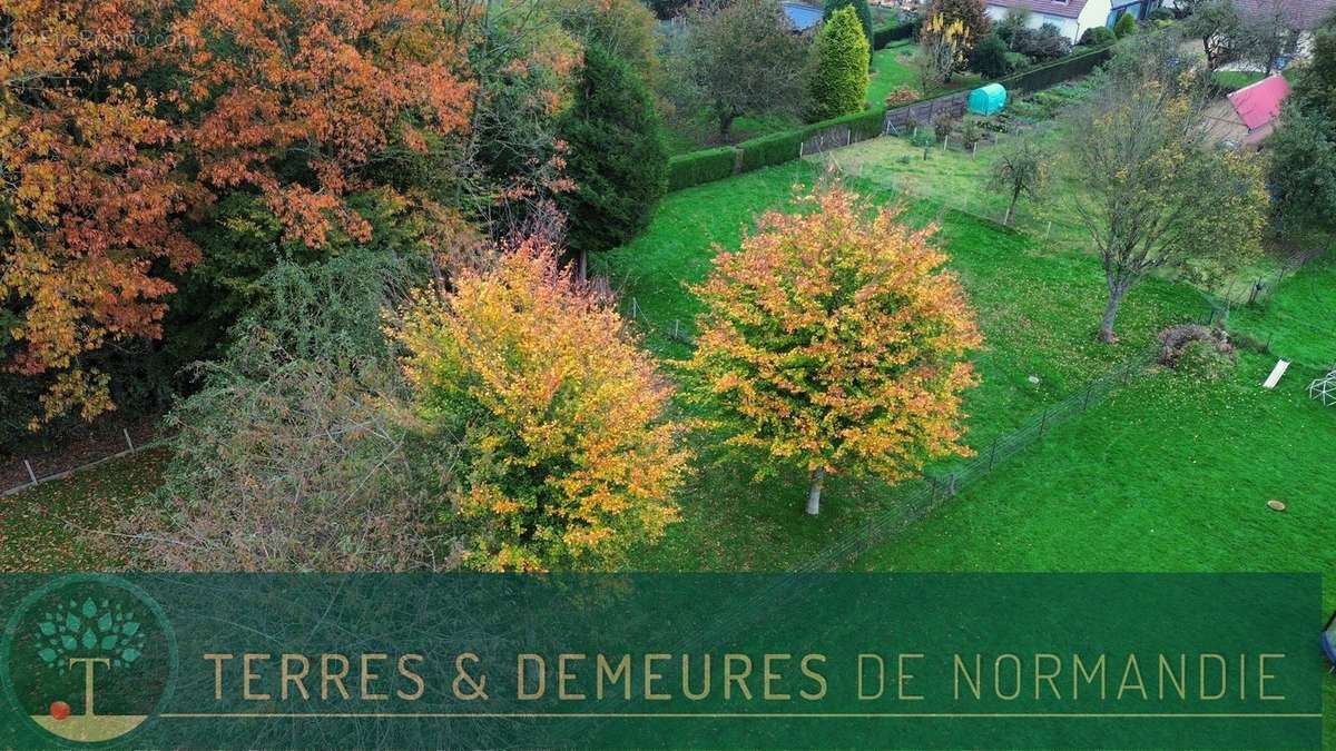 Terrain à BOSC-LE-HARD