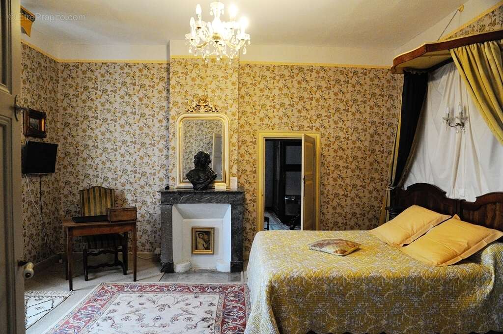 Grande propriete - gite / chambres d'hôtes - photo 5