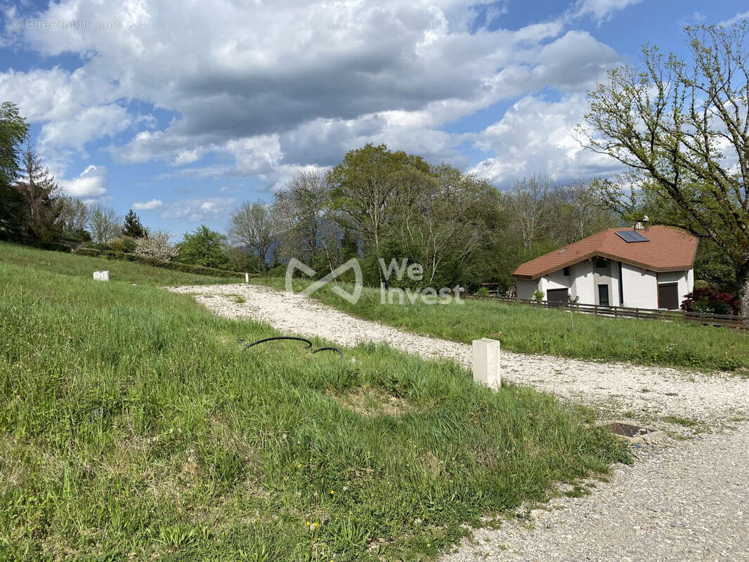 Terrain 721 m² à vendre à Reignier (74930) - photo 3