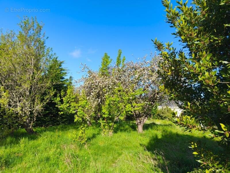 Terrain à LA BAULE-ESCOUBLAC